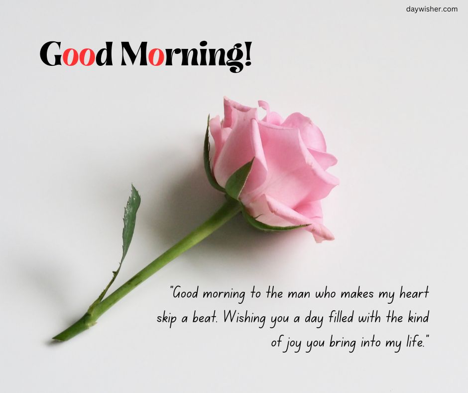 A single pink rose lies on a light gray background with the text "Good Morning Texts" above it, and a heartfelt morning greeting to a loved one below.