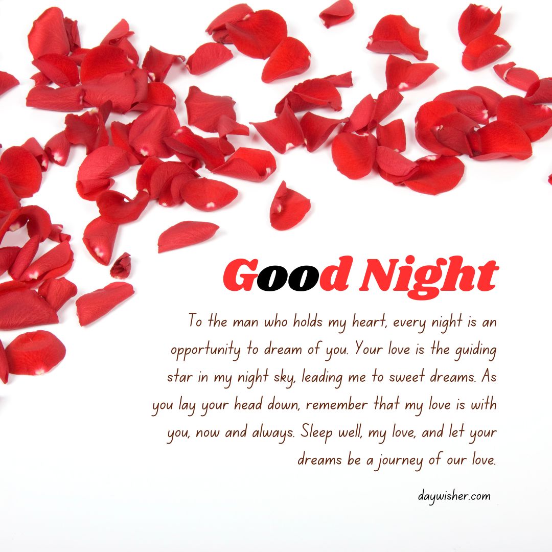An image of numerous red rose petals scattered over a white background with a text overlay that reads "Goodnight Paragraphs for Him. To the man who holds my heart, love is an opportunity to dream