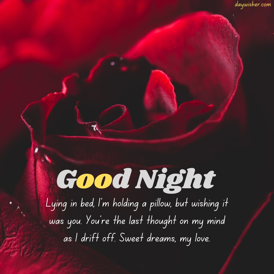 Close-up image of a dark red rose with water droplets, overlaid with a text that reads "good night" followed by a poetic note about missing him at night during our long distance.
