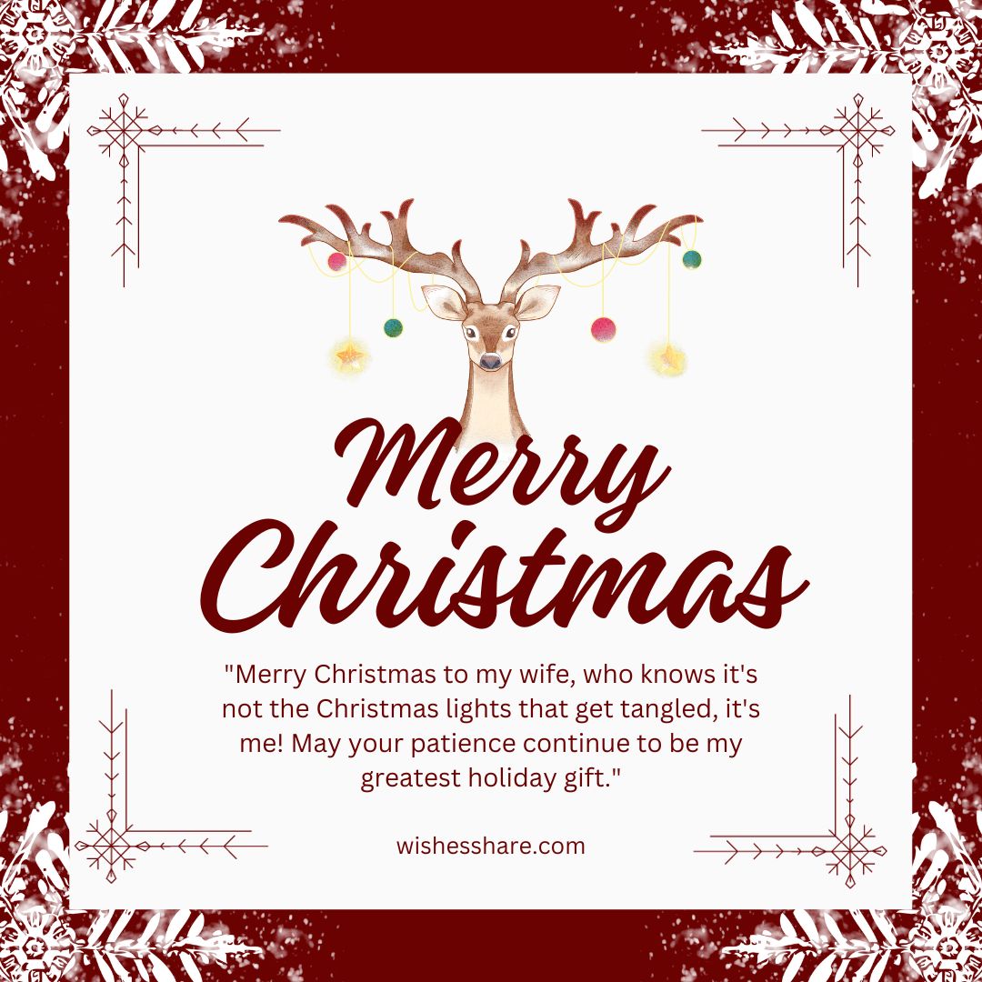 100+ Christmas Messages For Wife – Romantic Christmas Texts 6 Funny Christmas Wishes for Wife