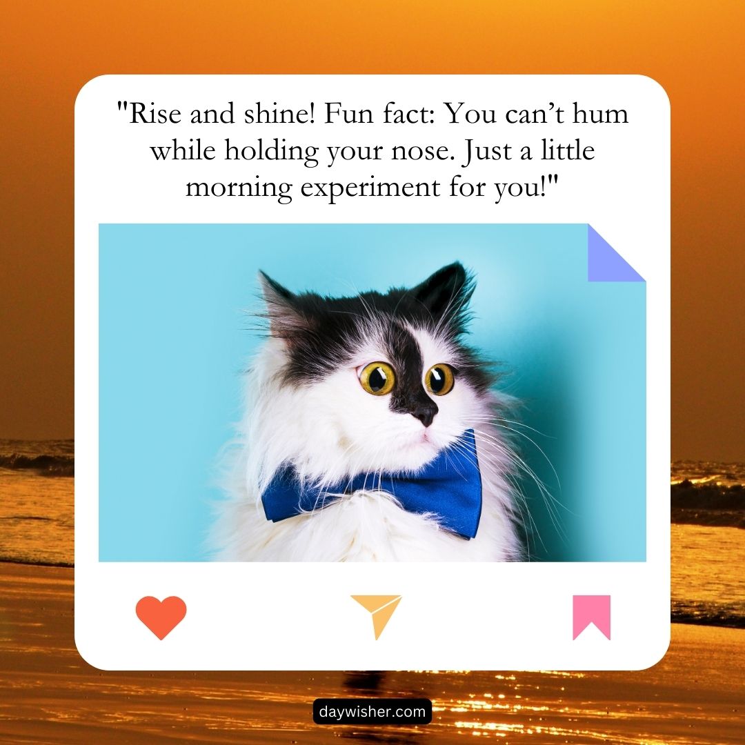 A fluffy black and white cat wearing a blue bow tie against a turquoise background, with the text sharing a fun fact about humming and holding your nose in good morning texts.