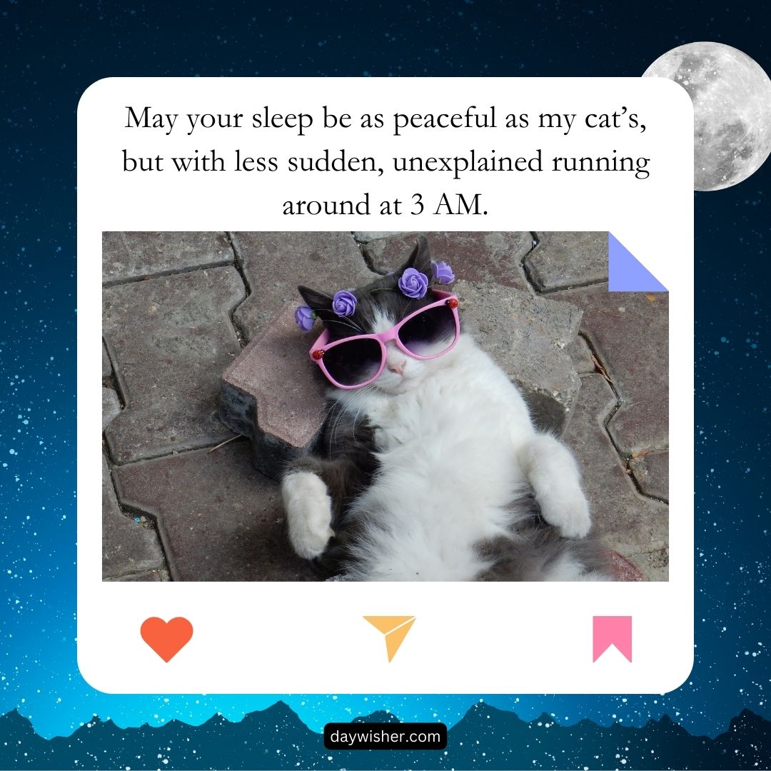 A cat lying on its back on a brick path, wearing pink sunglasses, with a "Good Night" message overlay wishing peaceful sleep, comparing it humorously to a cat's 3 am antics.