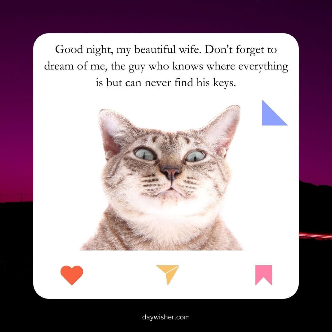 A graphic featuring a photo of a gray tabby cat with a quizzical expression, overlaying a purple background with a good night message from a husband to his wife about dreaming of him.