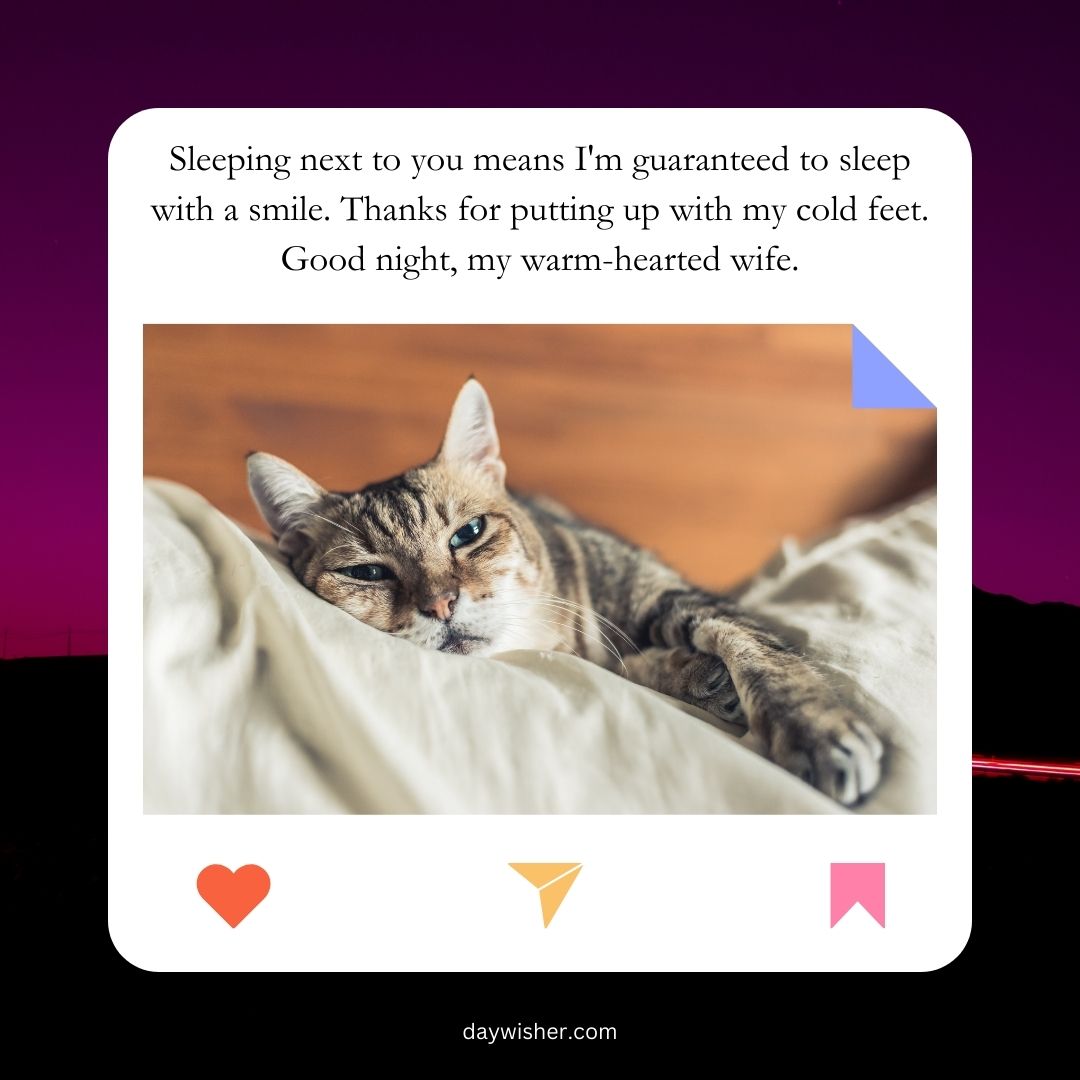 A cozy tabby cat sleeps on a bed with a "Good Night" message expressing gratitude to a wife for warmth and companionship, from daywisher.com.