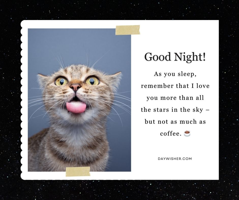 A postcard featuring a wide-eyed tabby cat with its tongue sticking out, set against a starry night background. The text reads "Good night, my love! Remember that I love you more