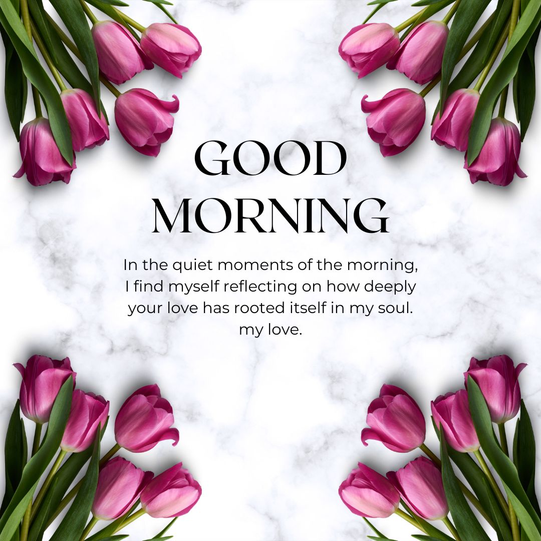 A graphic image featuring a border of pink tulips with a center text that reads "Good Morning Love Messages" and a romantic passage about love and reflection. The background is white.