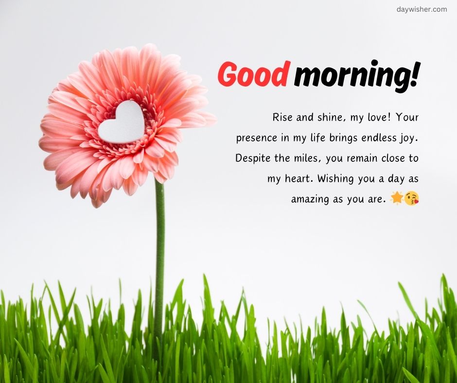 An inspirational greeting card image featuring a single pink gerbera with a heart cutout on one petal, set against a background of fresh green grass and a clear sky. The text conveys a