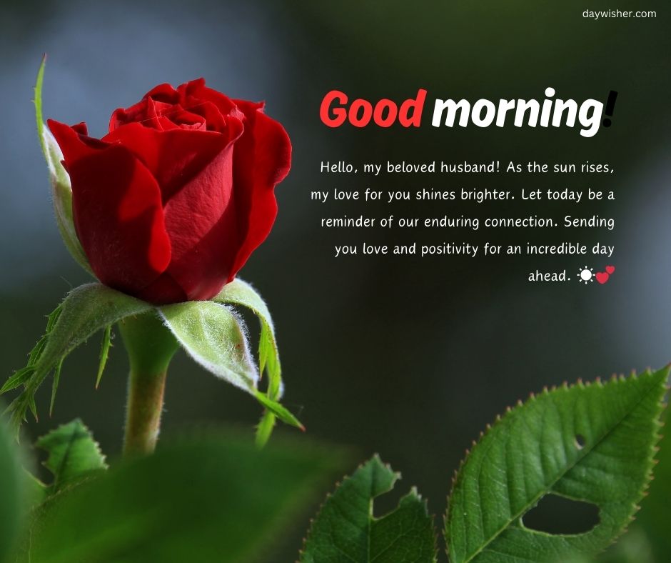A vibrant red rose in sharp focus against a blurred green and blue background with an overlay text that reads "Good morning! Hello, my beloved husband! Even from a distance, as the sun rises,