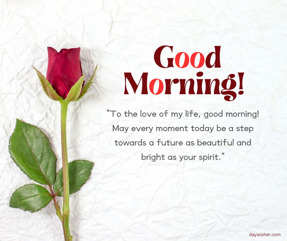 A single red rose on a textured white background with "Good Morning Prayer" text and a heartfelt message expressing love and a bright future.