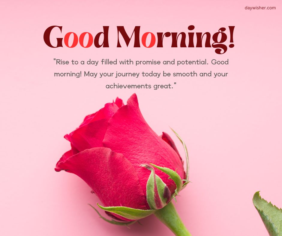 A vibrant red rose against a soft pink background with the text "good morning prayer messages" and an inspiring quote about promise and potential.