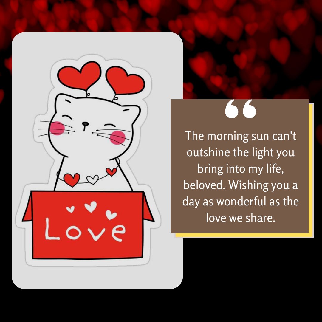 Illustration of a white cat with heart-shaped eyes and three red hearts above its head, holding a red sign with the word "Love" surrounded by hearts, set against a background with many blurry red hearts. A quote next to the cat reads, "The morning sun can't outshine the light you bring into my life, beloved. Wishing you a day as wonderful as the love we share."