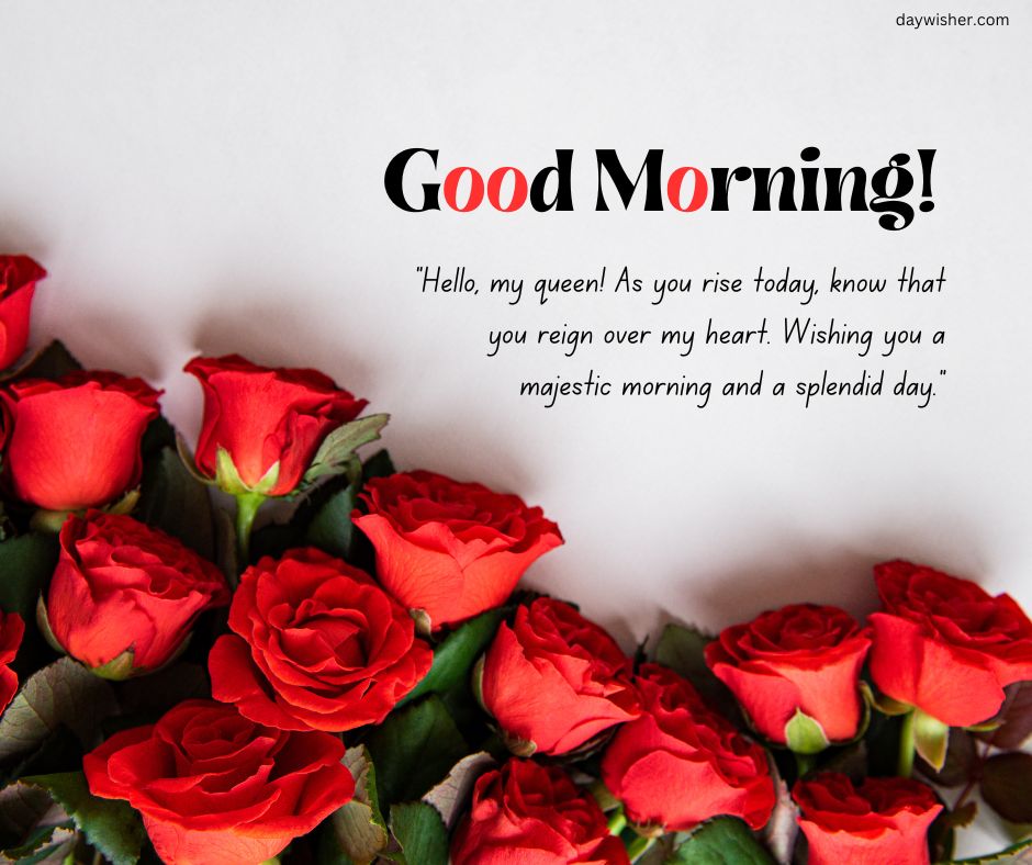 An image showing a cluster of vibrant red roses on a white background with text that reads: "Good morning! Hello, my queen! As you rise today, know that you reign over my heart.