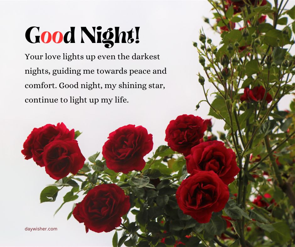A graphic with a "Good Night Messages For Wife" message and a poetic note against a background of vibrant red roses and lush greenery. The text and flowers are vividly depicted to convey warmth and