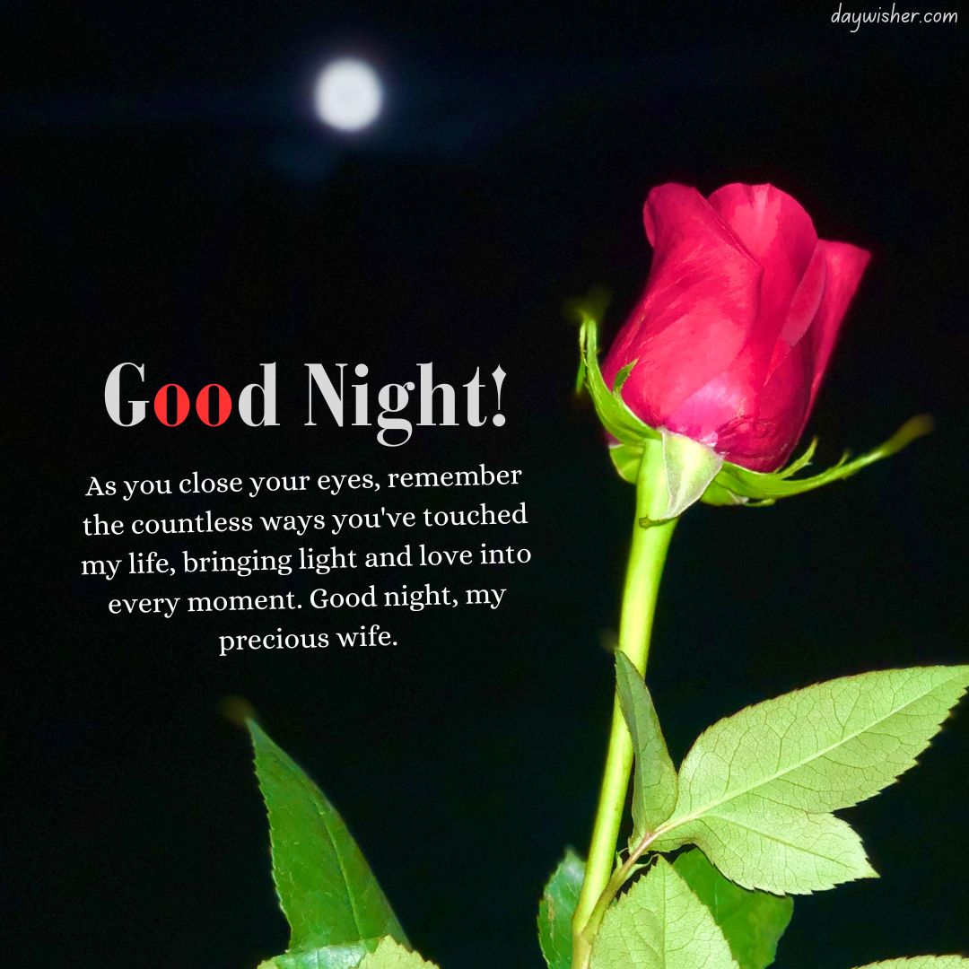 A vibrant red rose against a dark background with a faint moon. Text reads "Good Night! As you close your eyes, remember the countless ways you've touched my life, bringing light and love into