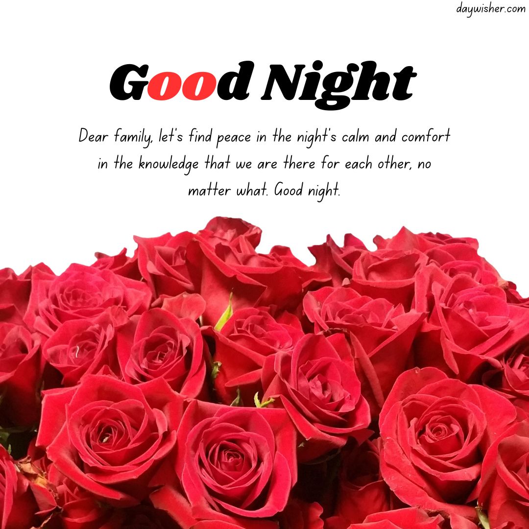 An image featuring a bouquet of vibrant red roses with an overlay text that reads, "Good Night Messages. Dear family, let's find peace in the night's calm and comfort in the knowledge that we