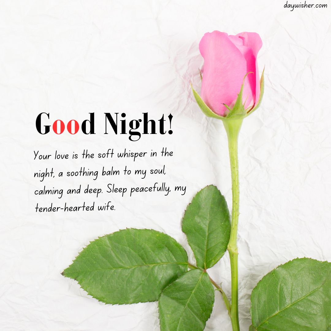 A single pink rose lies on a crinkled white paper background, with the text "good night! Your love is the soft whisper in the night, a soothing balm to my soul, calming
