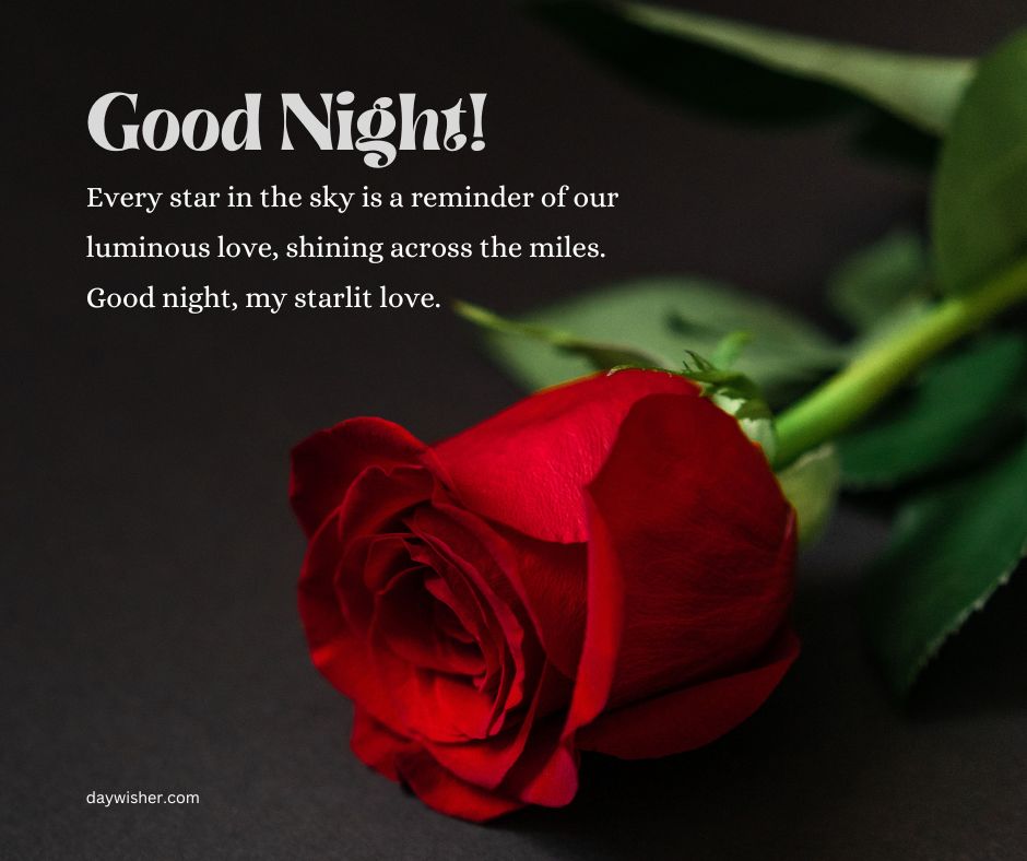 A vibrant red rose lies diagonally across a dark background with the text "Good night! Every star in the sky is a reminder of our luminous love, shining across. Good night, my star