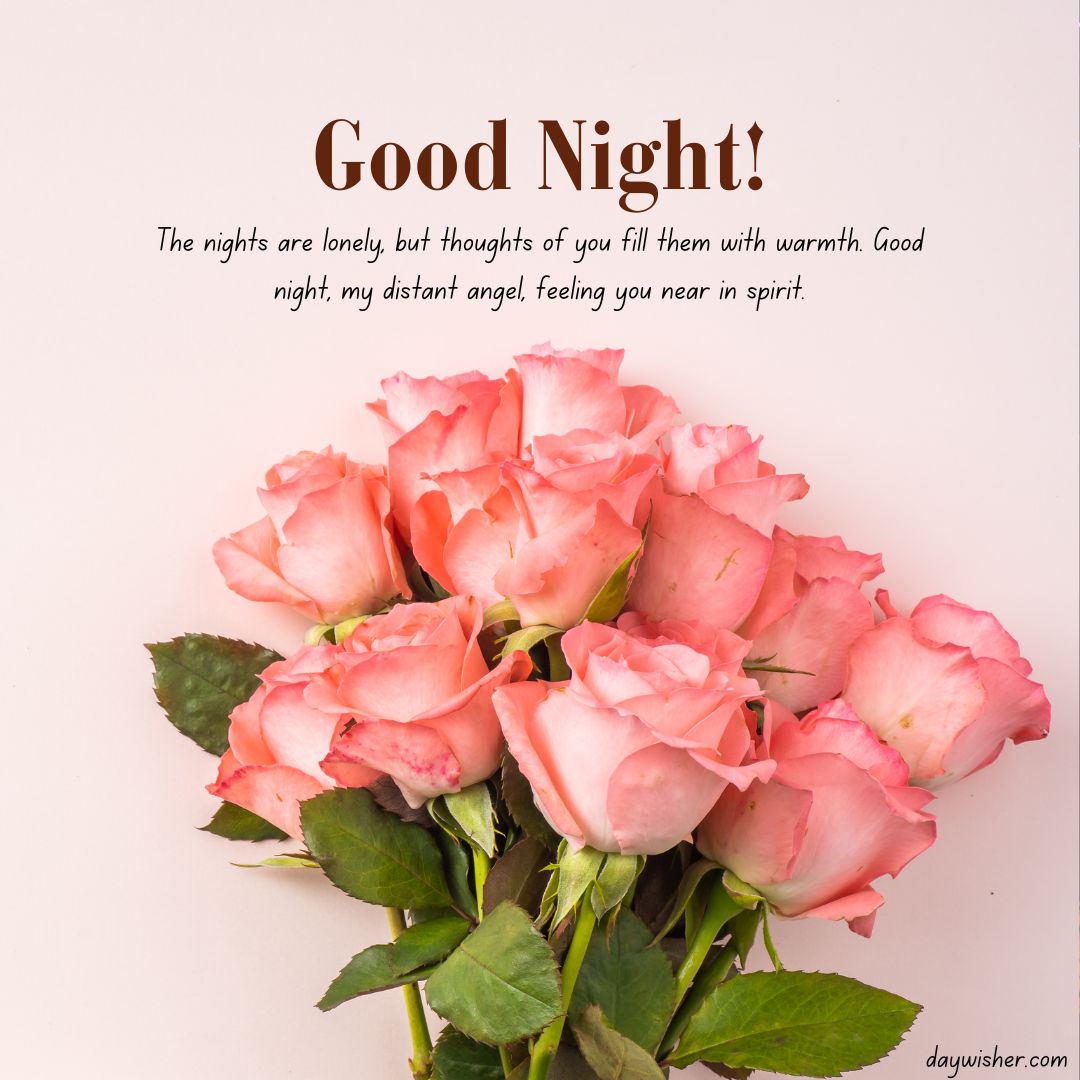 A bouquet of pink roses against a pale background with the text "Good night! The nights are lonely, but thoughts of you fill them with warmth. Good night, my distant angel, feeling you near