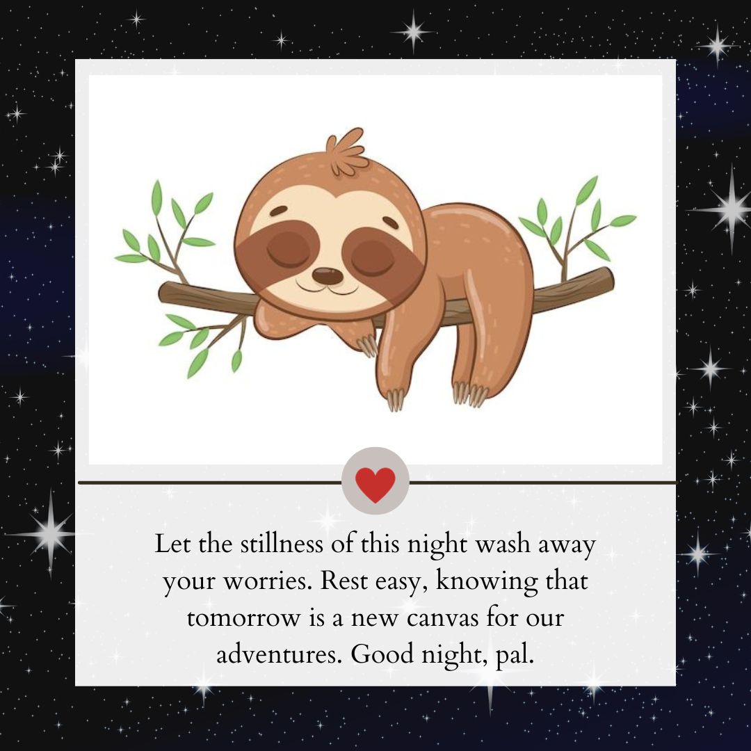 Illustration of a cute sloth lying on a branch with a peaceful expression, surrounded by a decorative border of stars and green leaves, accompanied by comforting Good Night Messages for Friends.
