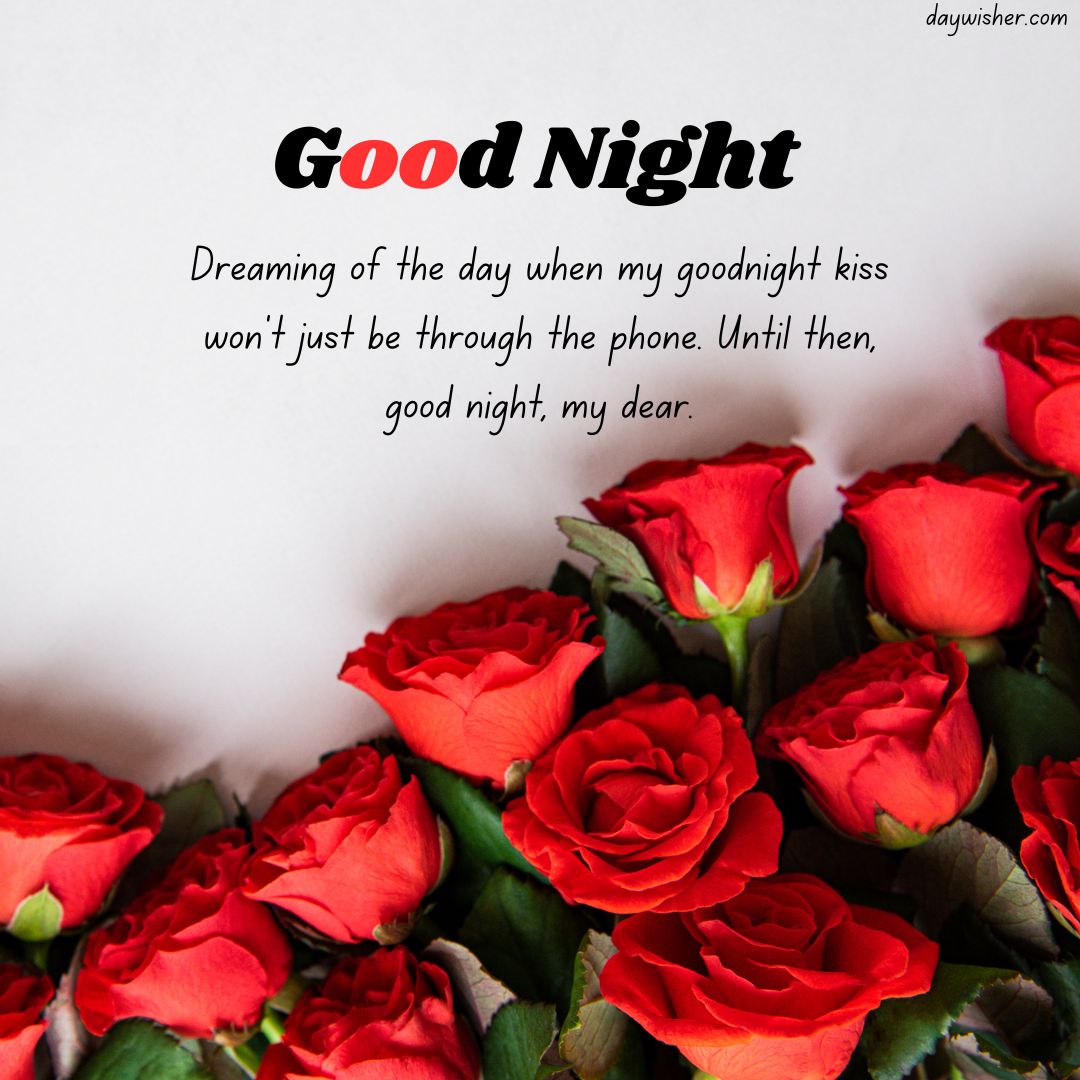 Image of vibrant red roses scattered on a white surface with the text "good night" above a romantic message about dreaming of a future goodnight kiss in person, perfect for long-distance relationships.