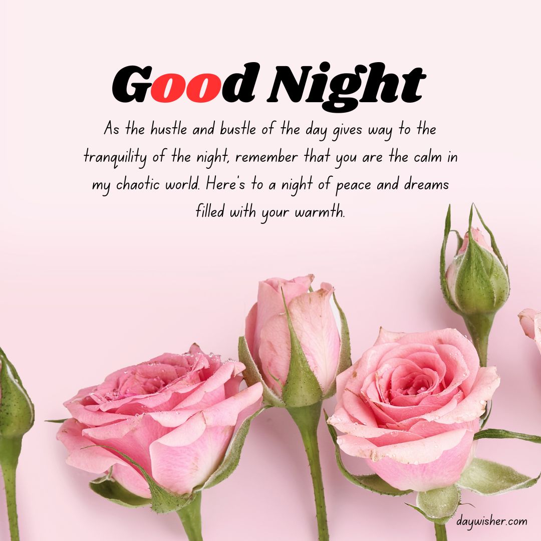 A graphic featuring the text "Good Night Messages" in bold letters with a heartfelt message about peace and calm, accompanied by three pink roses against a soft pink background.