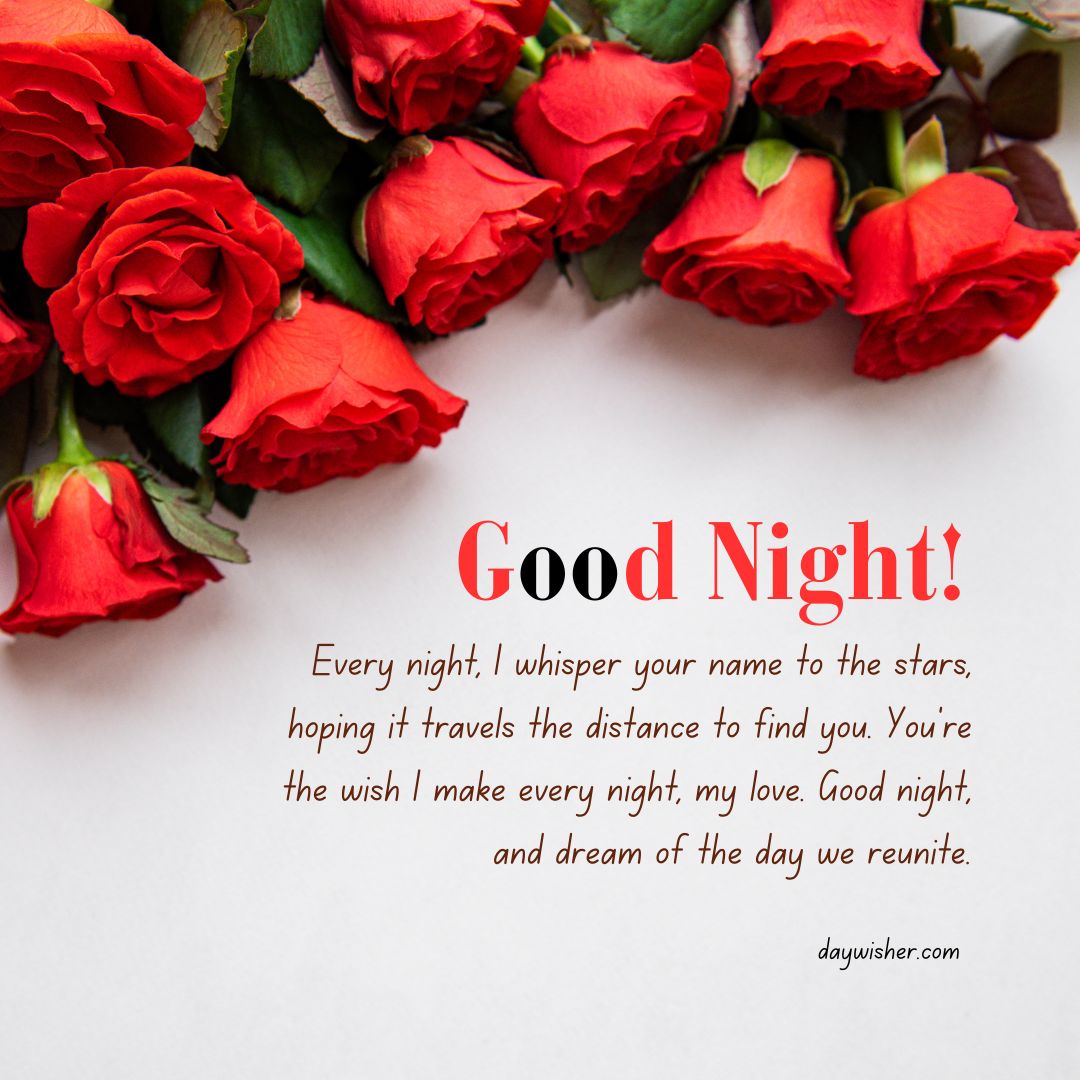 A cluster of vibrant red roses on a white background with a touching "goodnight" paragraph, expressing nightly wishes to a loved one, hoping for reunion in dreams.