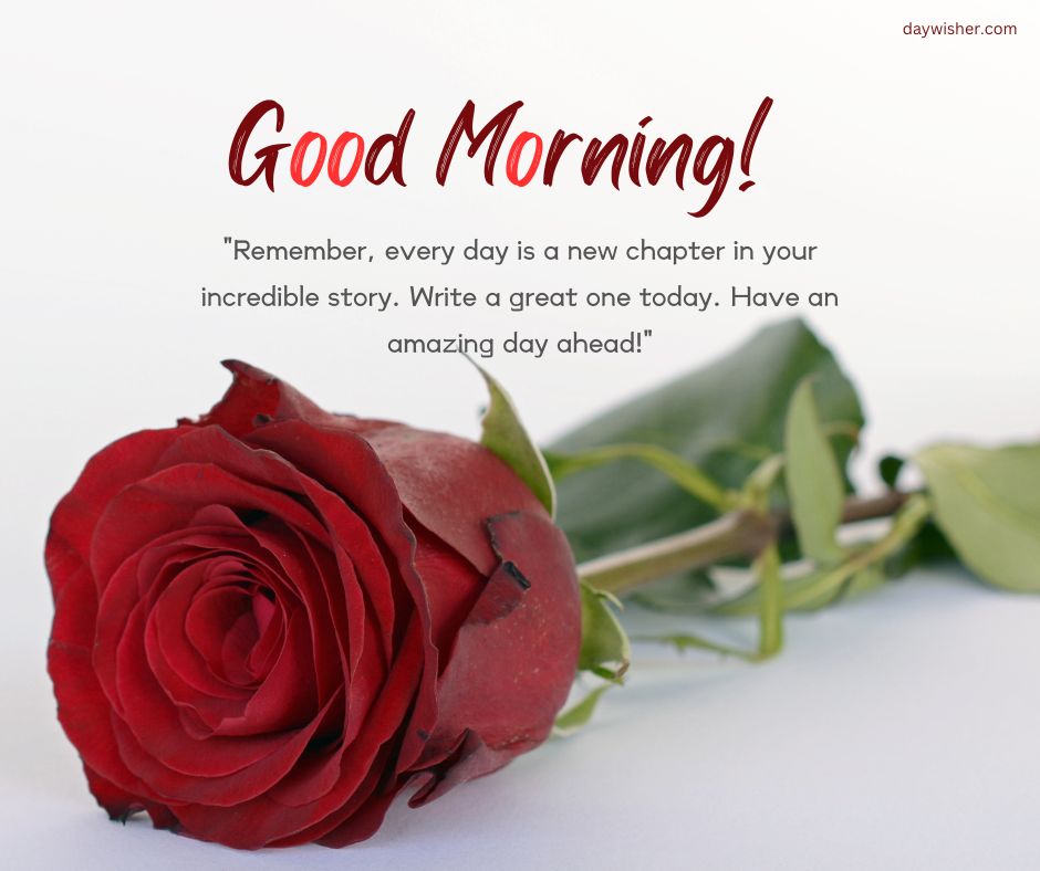 A vibrant red rose rests on a white surface with the text "Have a great day!" above and an inspirational quote about making each day incredible below.