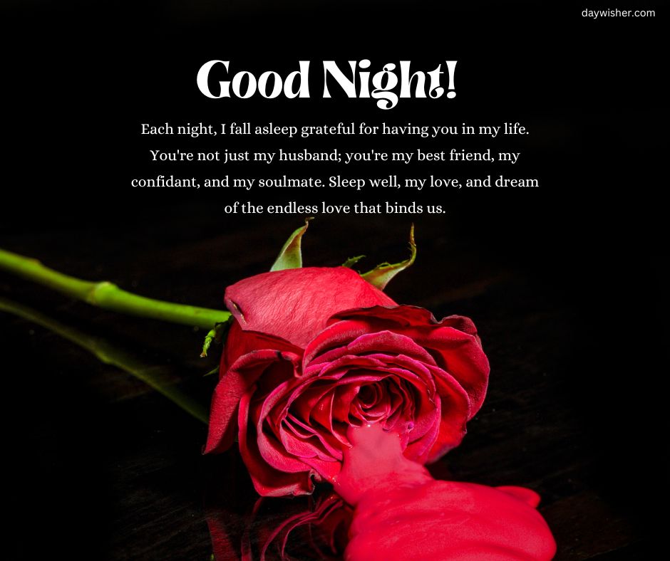 A vibrant red rose lies on a dark surface with the text "Good Night Messages For Husband" above it, followed by a loving message addressed to a husband, describing him as a best friend, conf