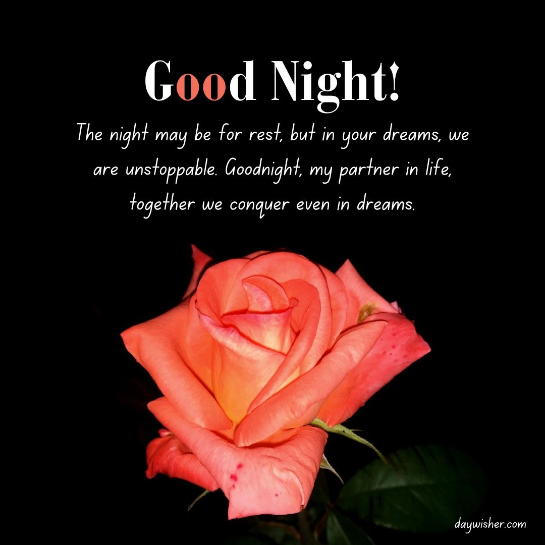 An image of a vibrant red rose against a black background with the text "Good night! The night may be for rest, but in your dreams, we are unstoppable. Goodnight, my husband,