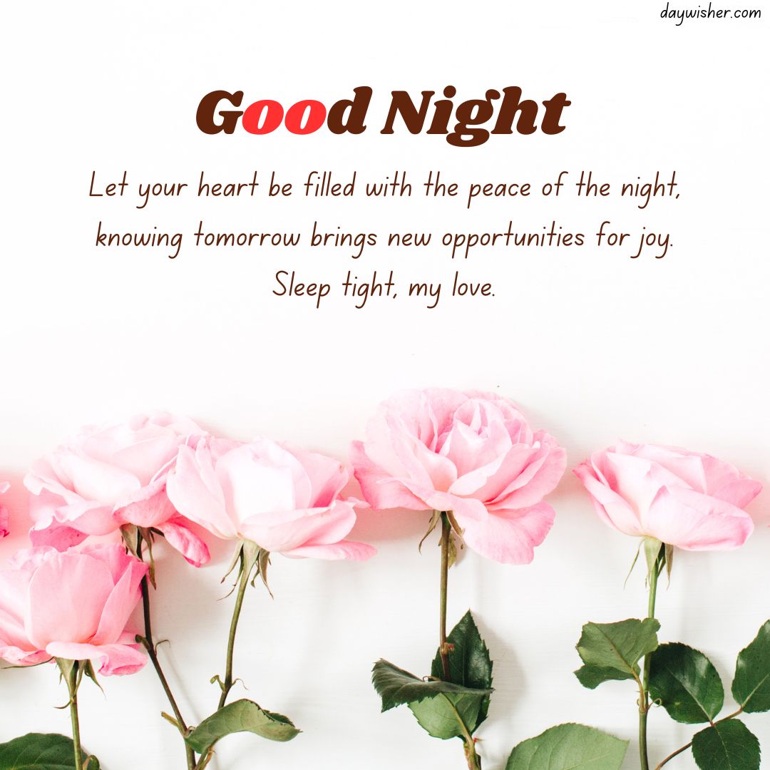 Text "good night" with a heartfelt, spiritual message, surrounded by pink roses against a white background.