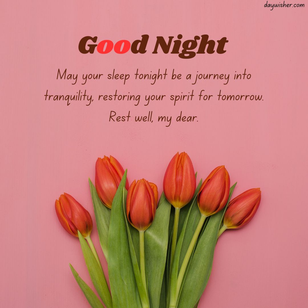 A pink background displays a message "spiritual good night" with a heartfelt wish, accompanied by a bouquet of red tulips lying flat below the text.
