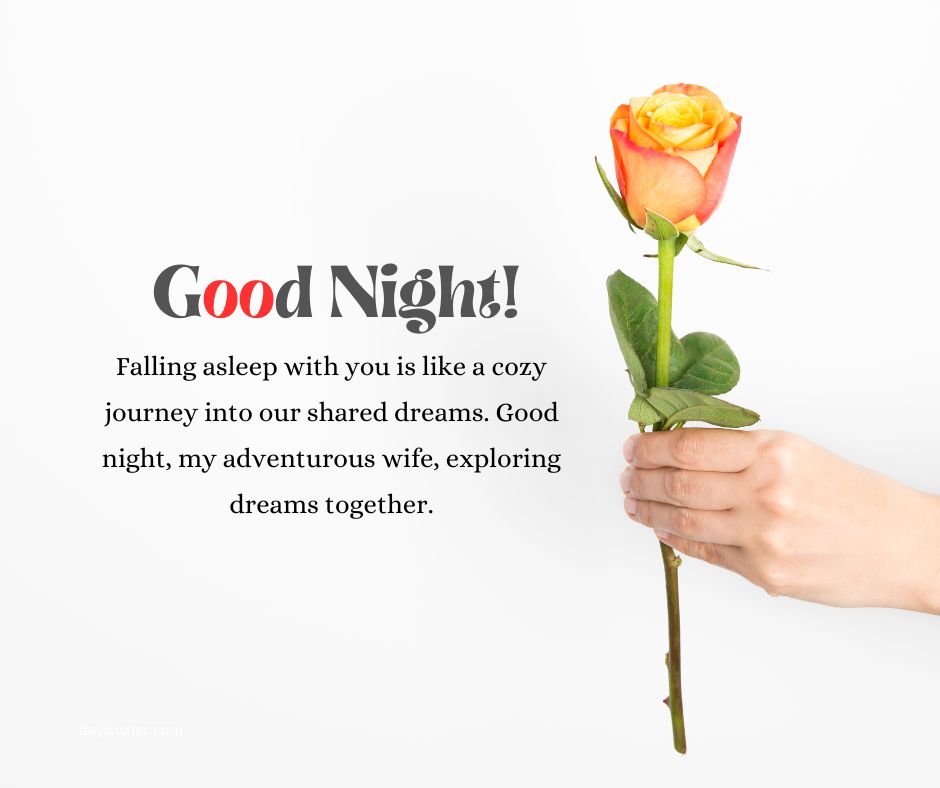 A hand holding a yellow and orange rose against a white background, with the Good Night Messages For Wife text "good night! falling into our shared dreams. good night, my adventurous wife, exploring dreams