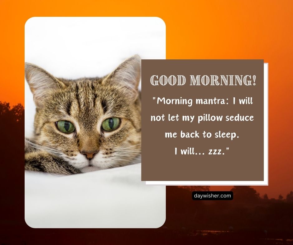 A close-up of a tabby cat with striking green eyes peeking out from beneath a white blanket, featuring an overlay text saying "Funny Good Morning! 'Morning Mantra: I will not let