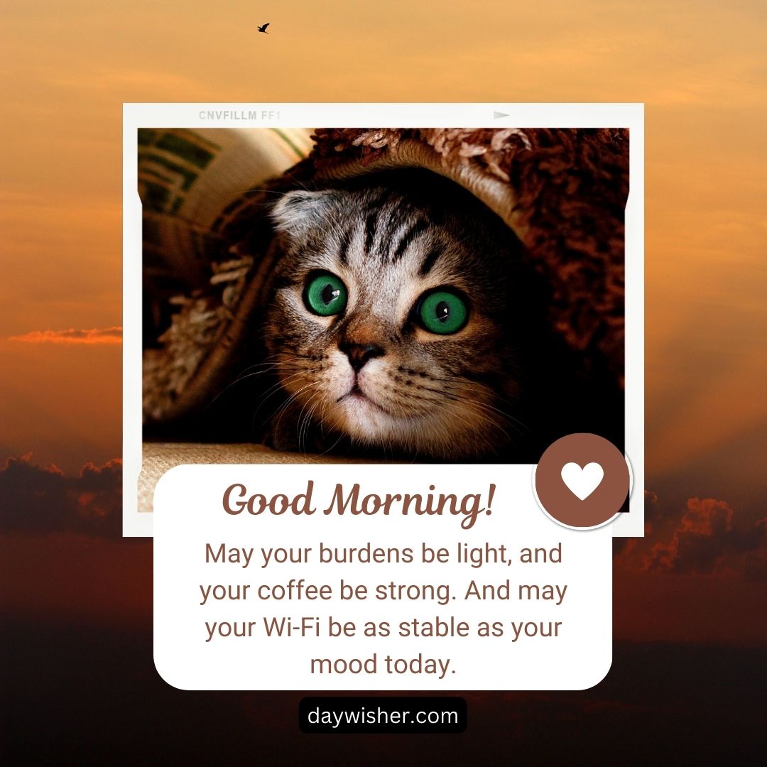 A cat with striking green eyes, partially covered by a knit blanket, with the text "good morning! may your burdens be light, your coffee be strong, and your wi-fi as stable as your
