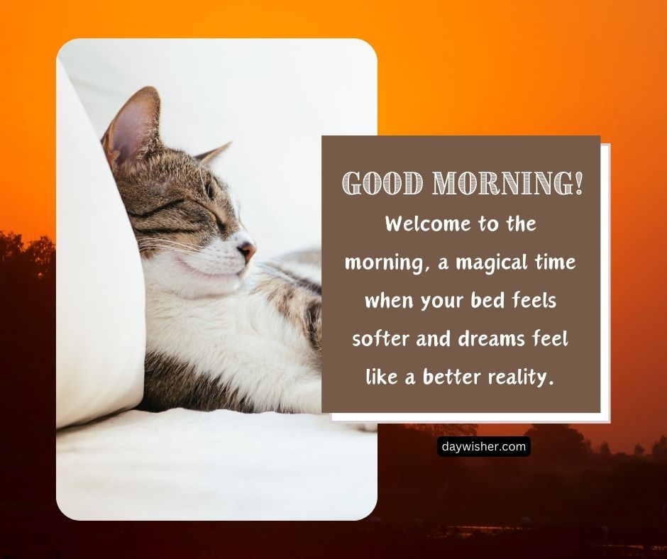 A cat napping comfortably on sheets, with a sunset background and text that reads "Funny Good Morning! Welcome to the morning when your bed feels softer and dreams feel like a better reality.