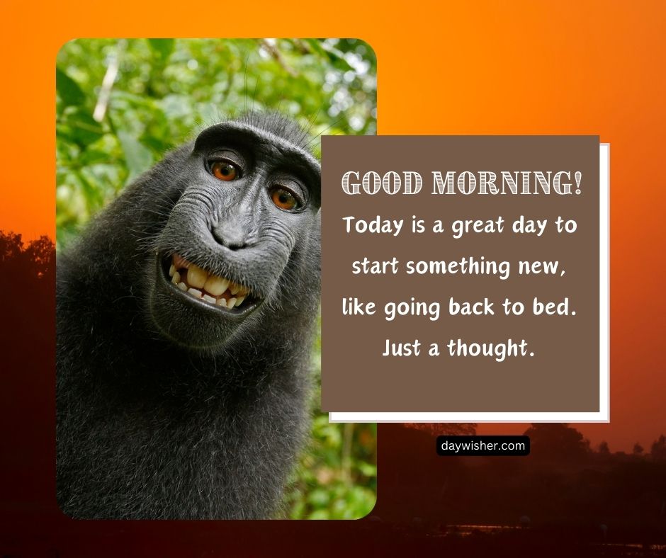 An image of a smiling gorilla with a caption that reads "Funny Good Morning! Today is a great day to start something new, like going back to bed. Just a thought," set against an