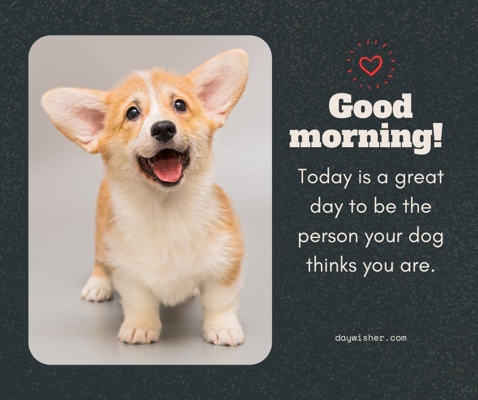A cheerful corgi smiles on a gray background next to the text "Funny good morning! Today is a great day to be the person your dog thinks you are." with a small red heart above