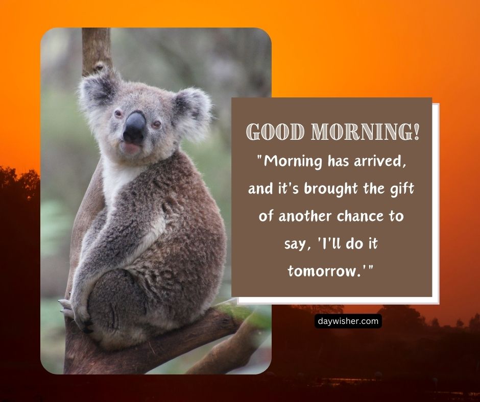 A koala perches on a tree branch against an orange sunset backdrop, accompanied by a text that reads "Funny Good Morning! 'Morning has arrived, and it’s brought the gift of another chance