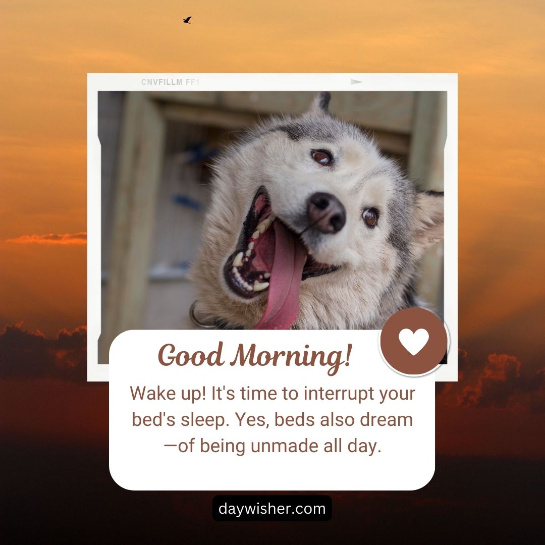 A close-up of a happy dog with its mouth open and tongue out, against a sunset background, with a funny good morning quote about waking up and not making your bed.