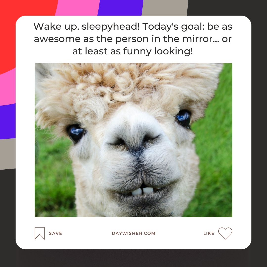 A close-up image of a fluffy alpaca looking directly at the camera, accompanied by a humorous caption suggesting the viewer aspire to be as awesome or at least as funny-looking as the alpaca