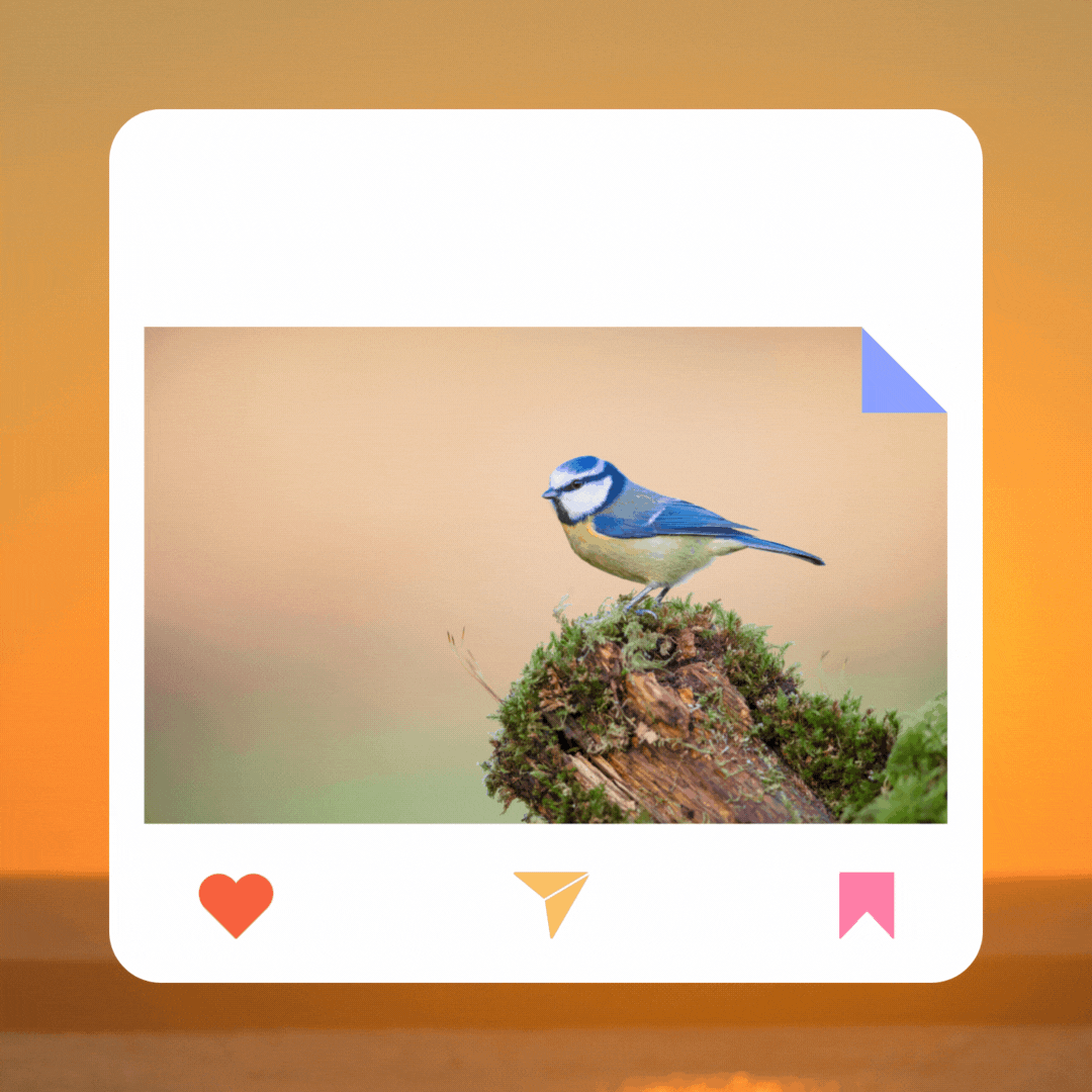A blue tit bird perched on a mossy stump against a soft-focus golden background, displayed within a stylized photo frame featuring social media interaction icons, perfect for good morning images.