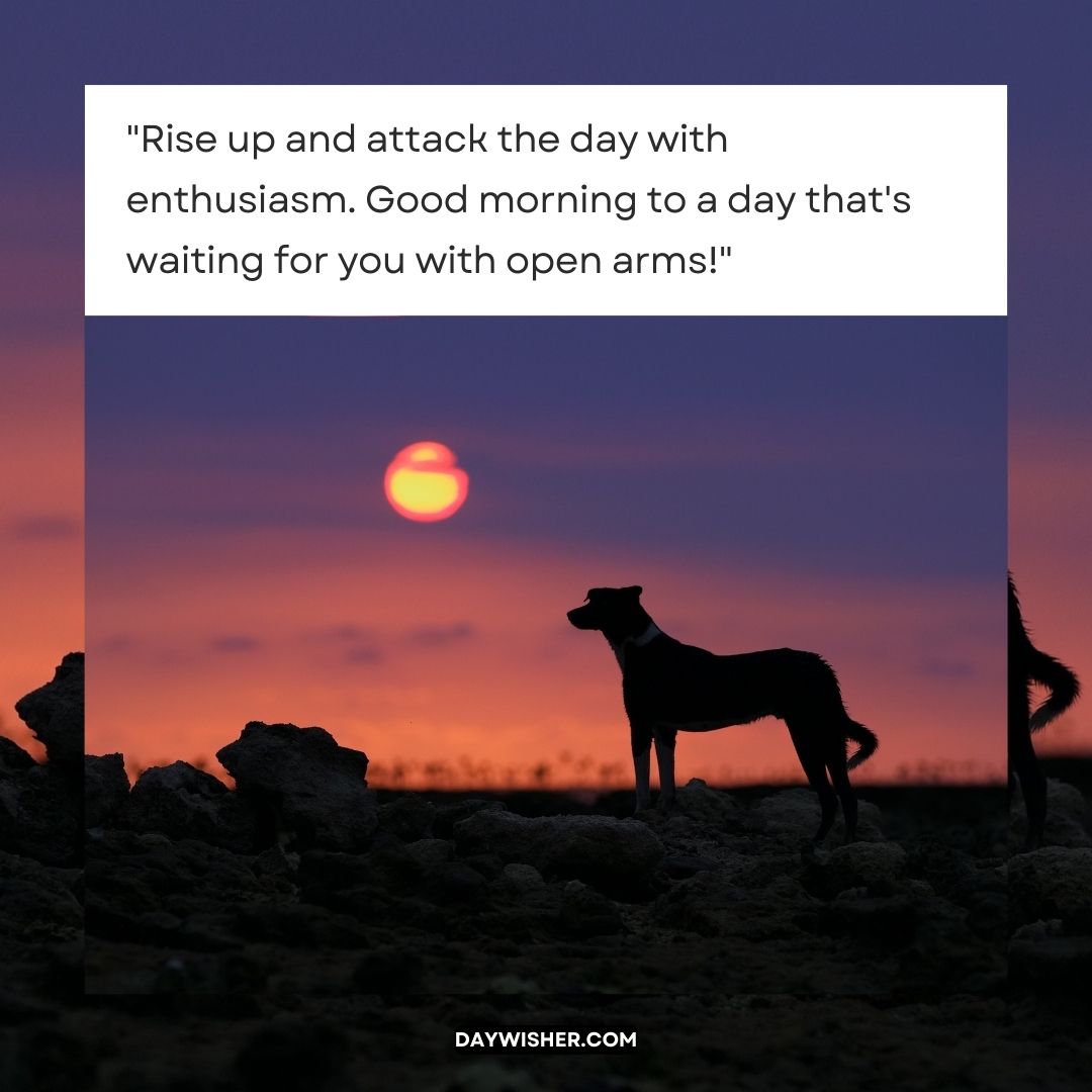 A silhouette of a dog standing against a vibrant sunrise in good morning images, with a partial quote about embracing the day with enthusiasm overlayed on the picture.