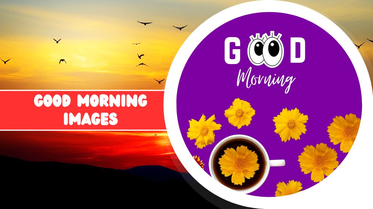 Graphic titled "good morning images" showcasing a vibrant sunset with flying birds on the left and a purple circle with text, a crown icon, and yellow flowers encircling a coffee cup on the right