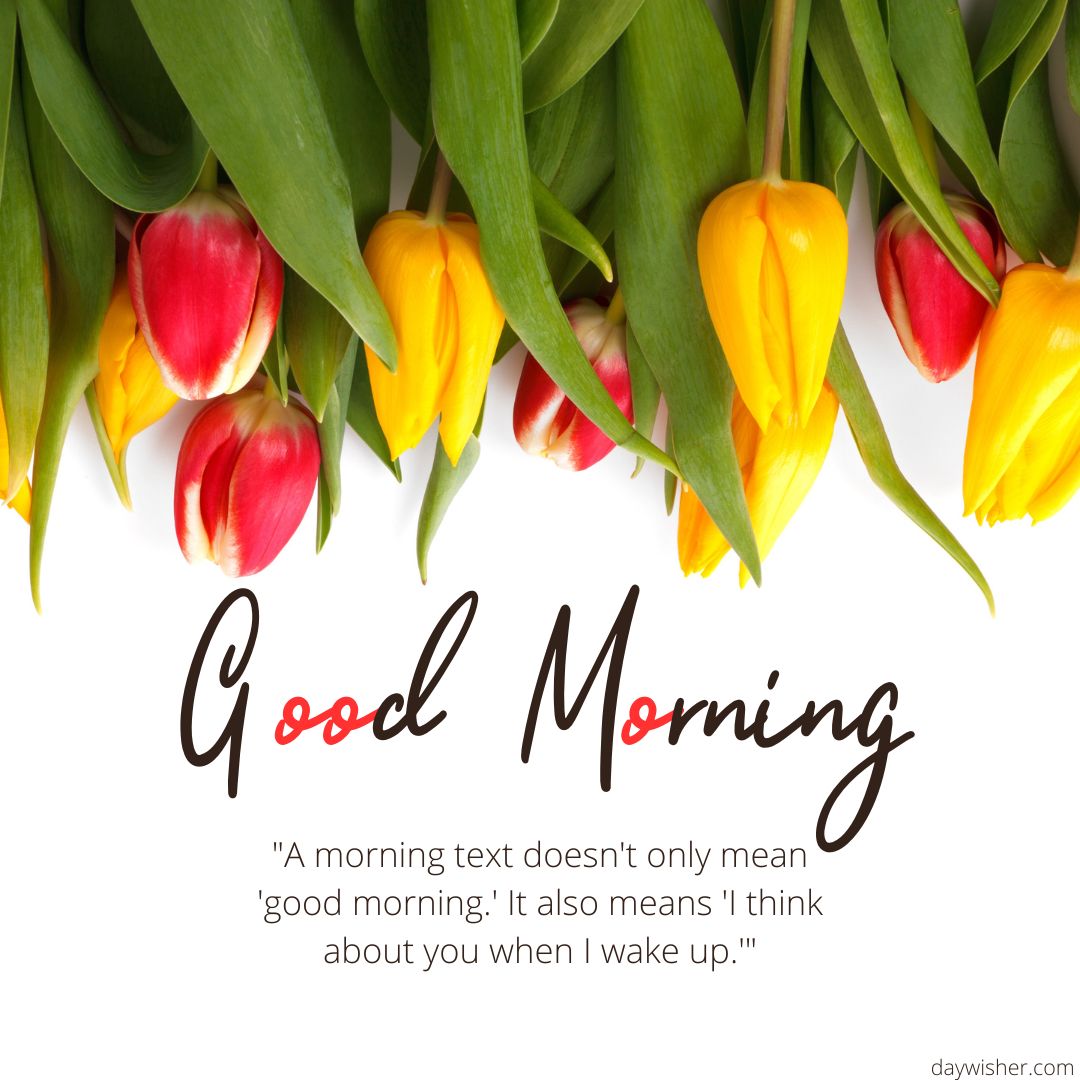 A vibrant arrangement of red and yellow tulips with green leaves on a white background, overlaid with the phrase "good morning" and a quote about the thoughtfulness behind good morning images.