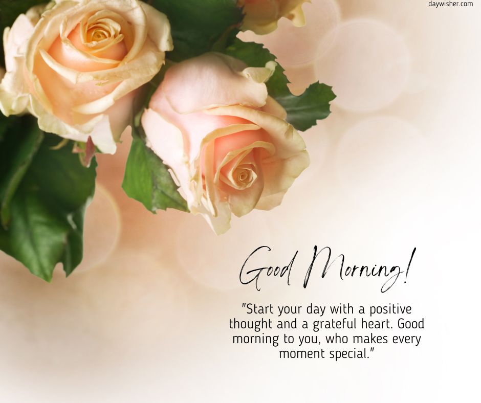 A gentle good morning image with pale pink roses on a soft cream background accompanied by a "good morning!" greeting and an inspirational quote about starting the day with positivity.