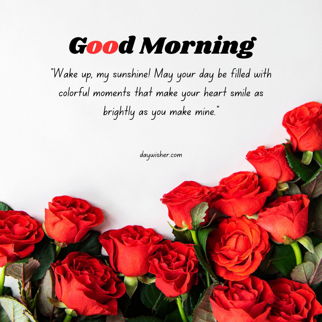 The image depicts a bouquet of bright red roses at the bottom, accompanied by a "good morning" message and a loving quote on a pristine white background.
