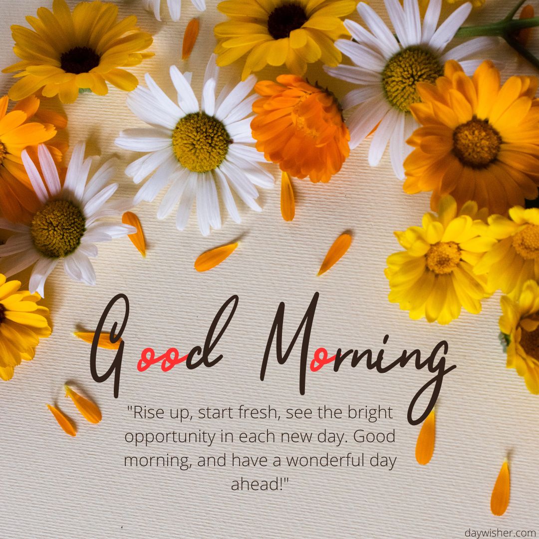 A cheerful greeting card titled "good morning images" featuring fresh daisies and marigolds scattered on a light surface, with an inspirational quote about starting the day fresh.