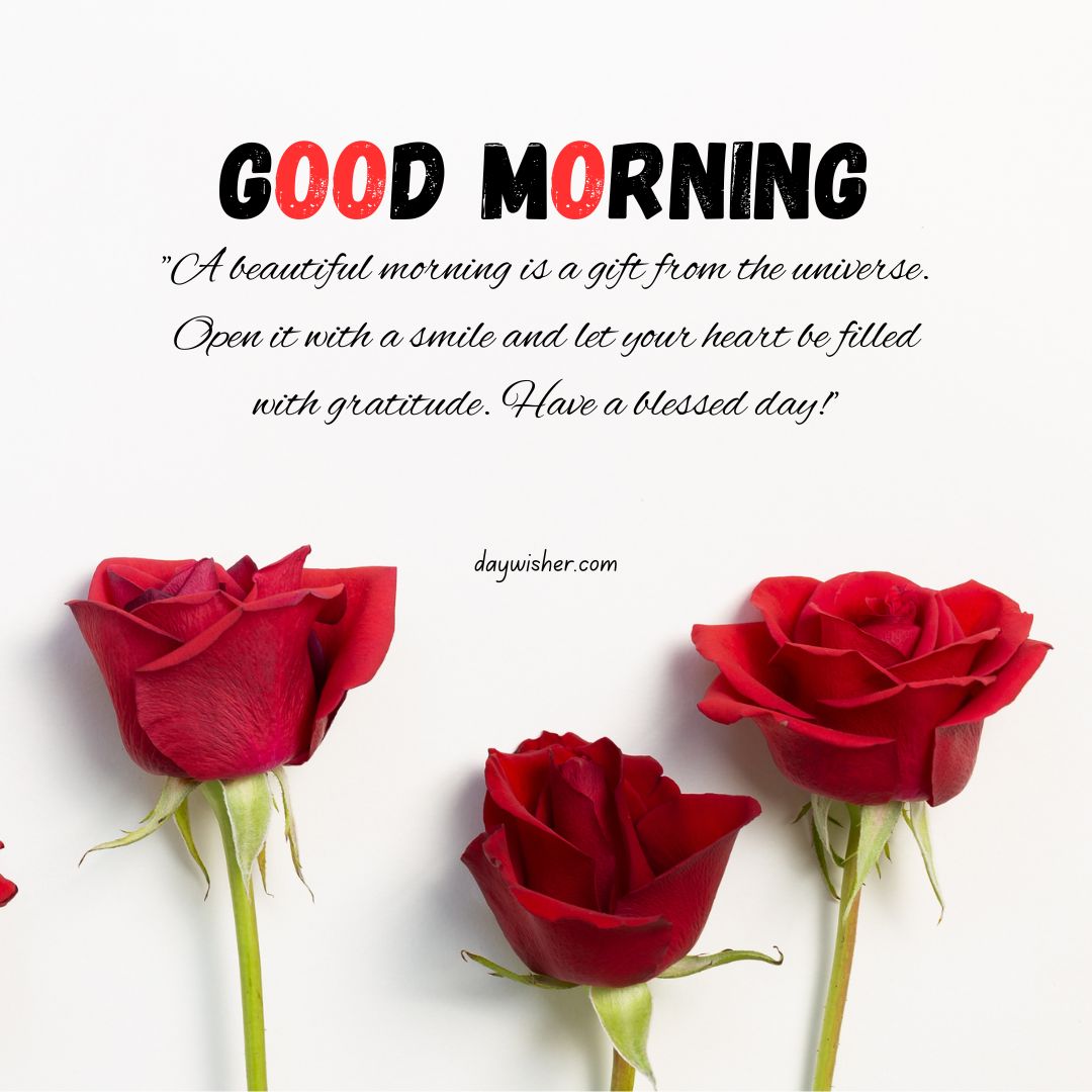 Image of a white background with two red roses at the bottom, and a message saying "good morning" in large red letters, followed by an inspirational quote in black text.