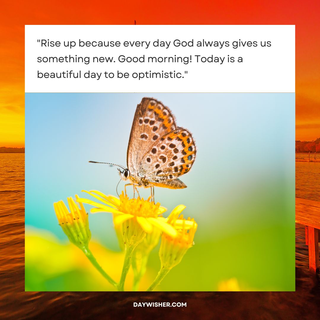 A butterfly perched on a yellow flower with a vibrant sunrise background. The image includes an inspirational quote about optimism and new beginnings, perfect for good morning messages.