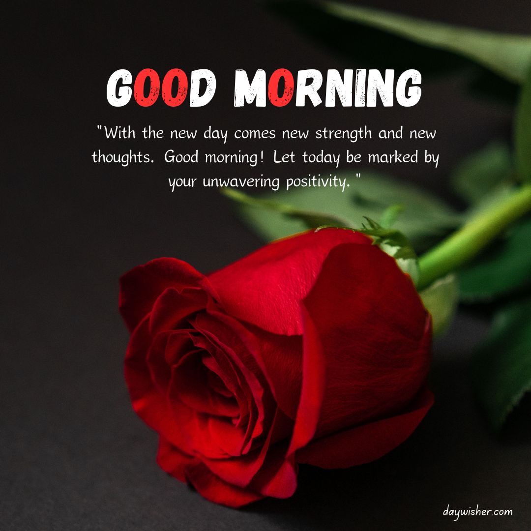 A vibrant red rose lies on a dark surface with the text "good morning" above a quote about positivity and strength, invoking a sense of inspiration and renewal in these good morning images.